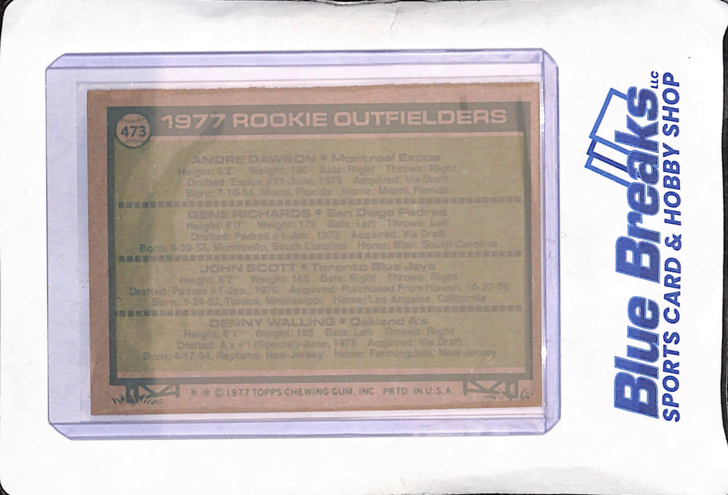 1977 Topps Chewing Gum- Andre Dawson - Gene Richards - John Scott - Denny Walling - Rookies Outfielders - Montreal Expos - San Diego Padres- Toronto Blue Jays - Oakland Athletics - Baseball - #473