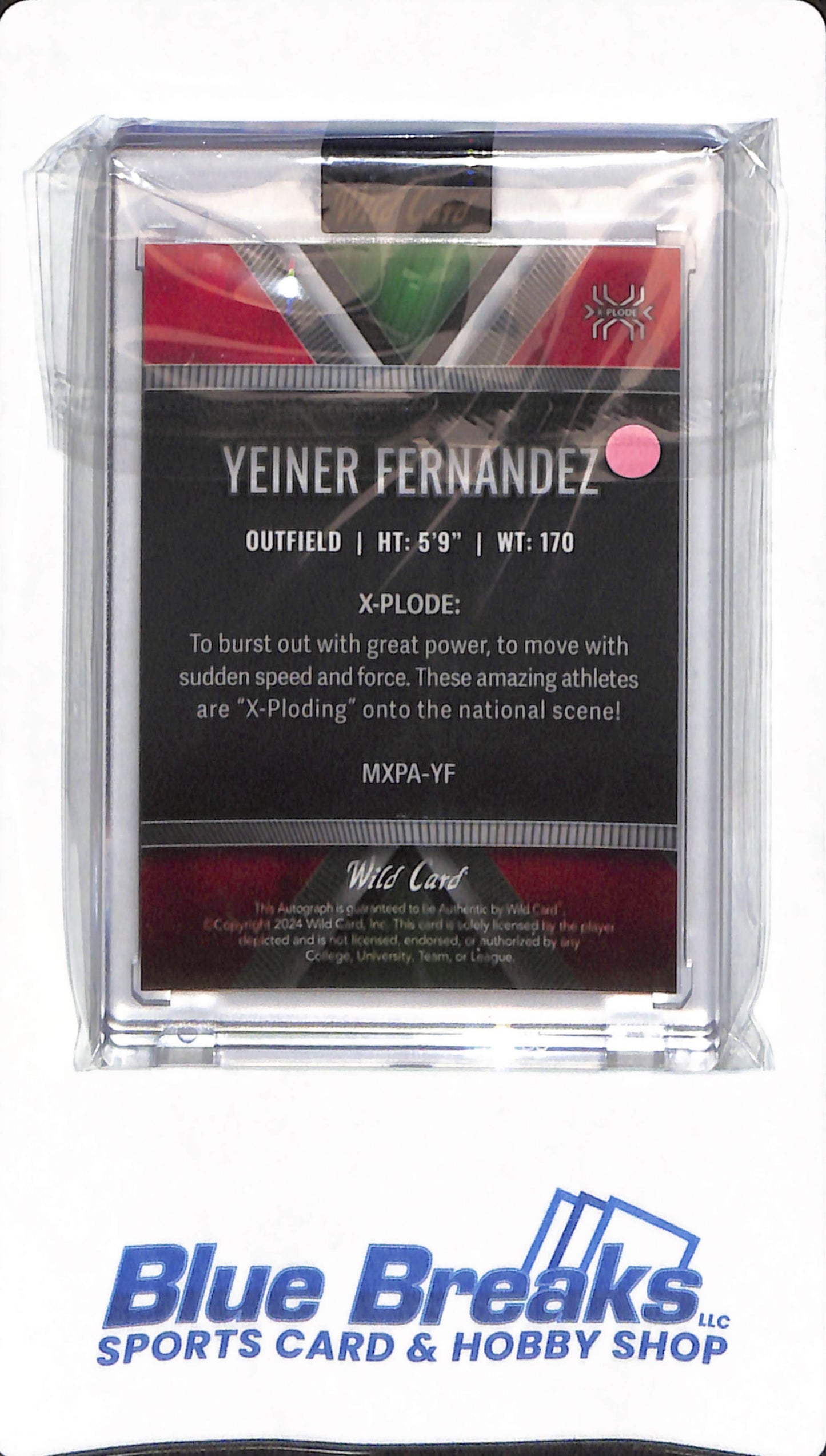 2024 Wild Card - Yeiner Fernandez - #MXPA-YF - Los Angeles Dodgers - Baseball