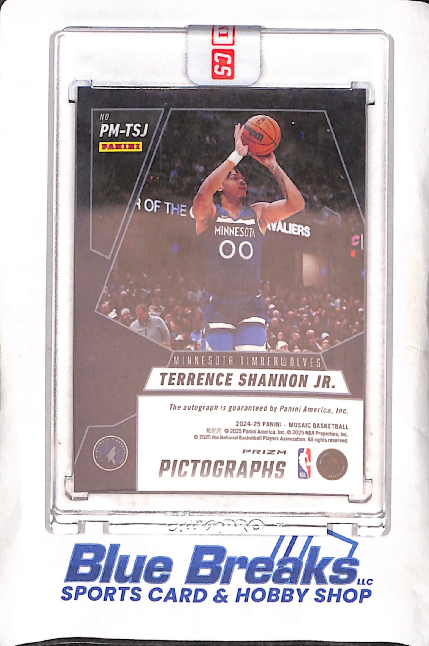 2024-25 Panini Mosaic - Terrence Shannon Jr - Pictographs - Autograph - RC - Minnesota Timberwolves - Basketball - #PM-TSJ