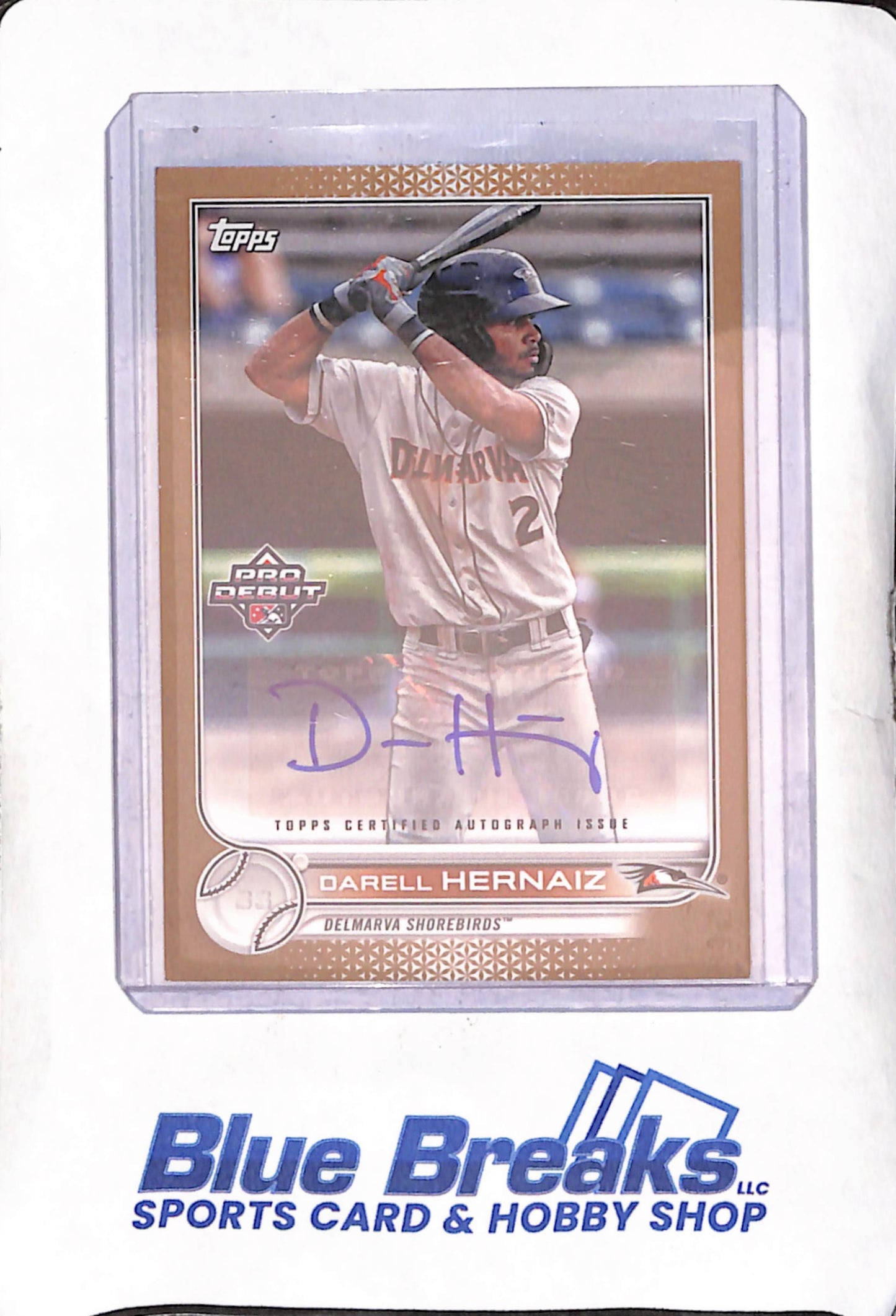 2022 Topps Pro Debut - Darell Hernaiz - Autograph - 30/50 - Delmarva Shorebirds - Baseball - #PD-10