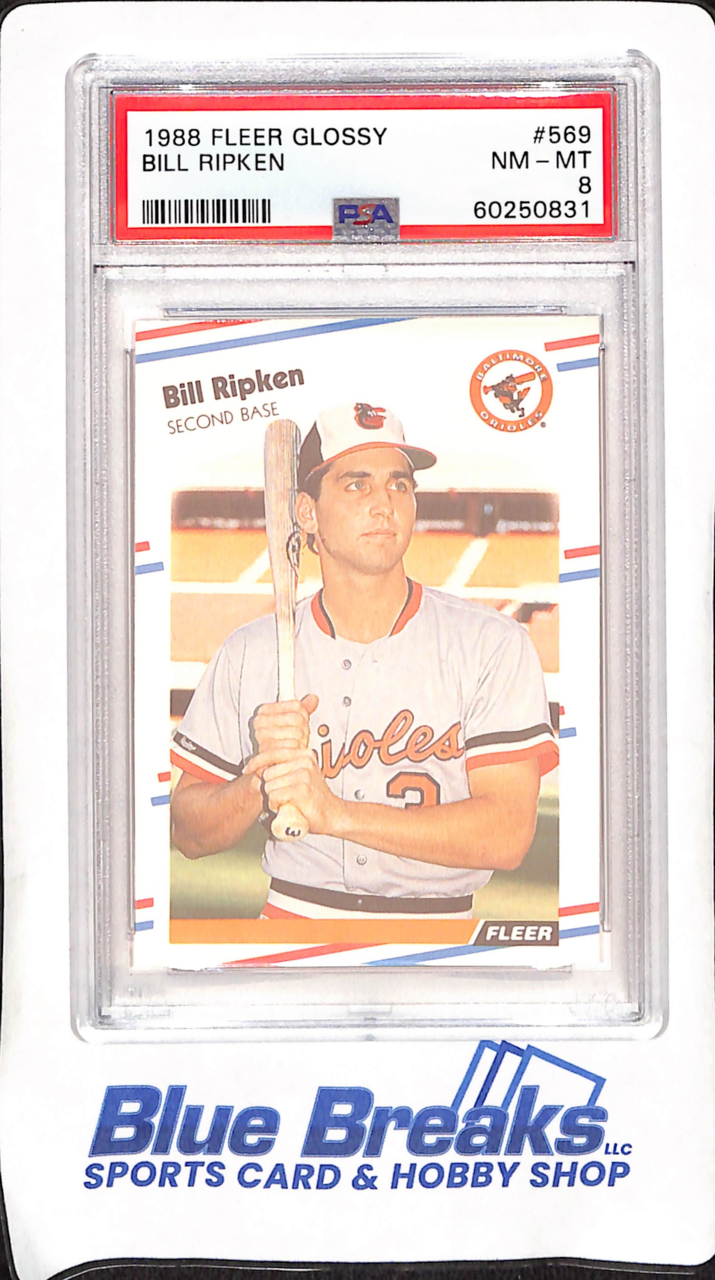 1988 Fleer Glossy - Bill Ripkin - PSA 8 - Baltimore Orioles - Baseball - #569