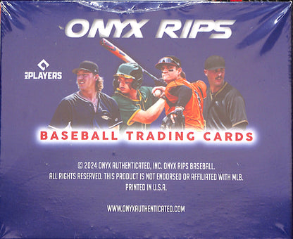 2024 Onyx Rips Baseball Collection Box - Sealed Wax